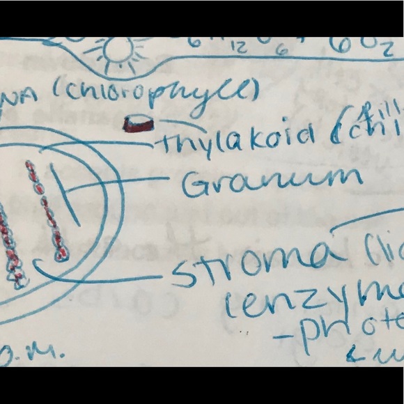 Meet your Posher, Alejandro - Picture 1 of 1